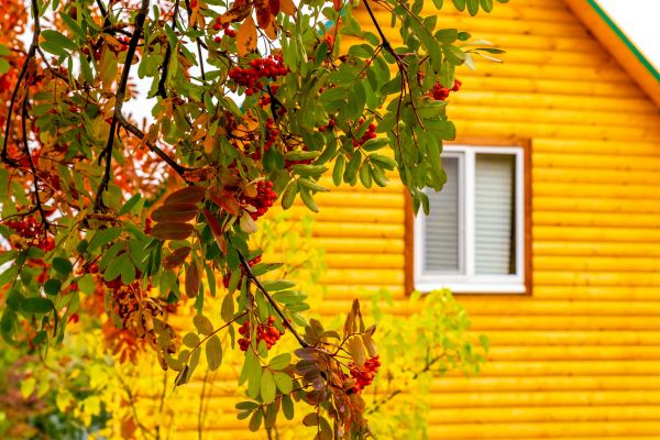 Garden Window Replacement in Nacogdoches